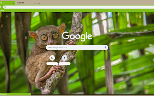 Tarsier  from Chrome web store to be run with OffiDocs Chromium online