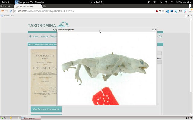 Chrome ウェブストアの Taxonomina 属を OffiDocs Chromium online で実行する