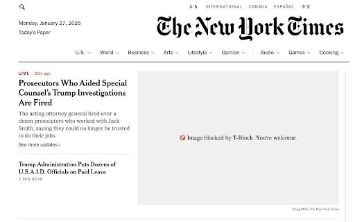 T Block  from Chrome web store to be run with OffiDocs Chromium online