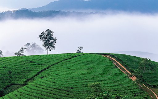Tea Hill  from Chrome web store to be run with OffiDocs Chromium online