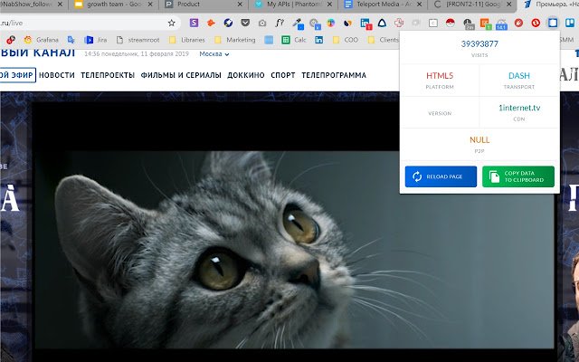 Teleport Sniffer  from Chrome web store to be run with OffiDocs Chromium online