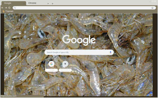 Tep  from Chrome web store to be run with OffiDocs Chromium online