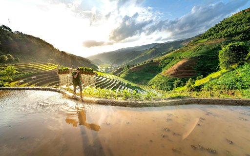 Terraced Fields  from Chrome web store to be run with OffiDocs Chromium online