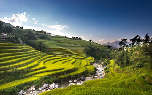 Terraced fields on the hills  from Chrome web store to be run with OffiDocs Chromium online