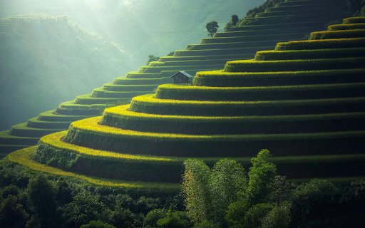 Terraced Fields Serenity  from Chrome web store to be run with OffiDocs Chromium online