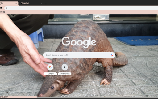 Te Te  from Chrome web store to be run with OffiDocs Chromium online