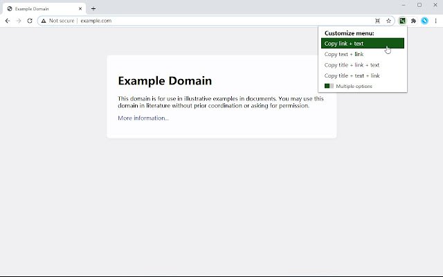 Text and Link  from Chrome web store to be run with OffiDocs Chromium online
