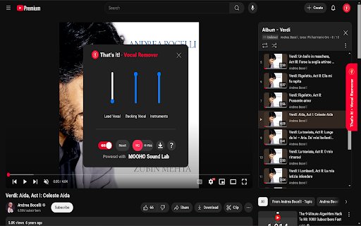 Thats it! Vocal Remover  from Chrome web store to be run with OffiDocs Chromium online