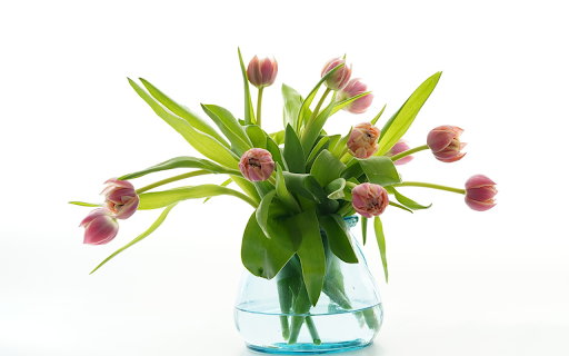 The art of flower arrangement  from Chrome web store to be run with OffiDocs Chromium online