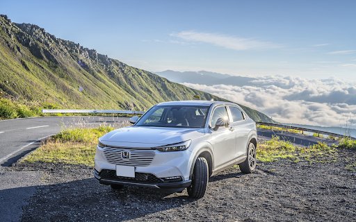 The car stopped next to the mountain  from Chrome web store to be run with OffiDocs Chromium online