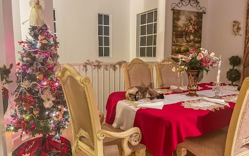 The cat and the party from Chrome web store to be run with OffiDocs Chromium online The cat and the party from Chrome web store to be run with OffiDocs Chromium online