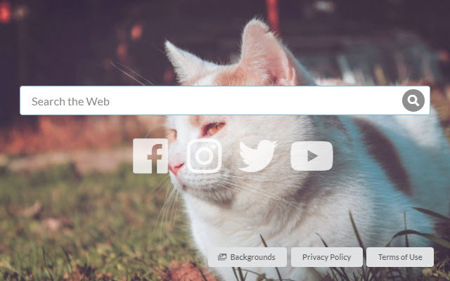 Chrome ウェブストアの Cat Tab を OffiDocs Chromium online で実行する