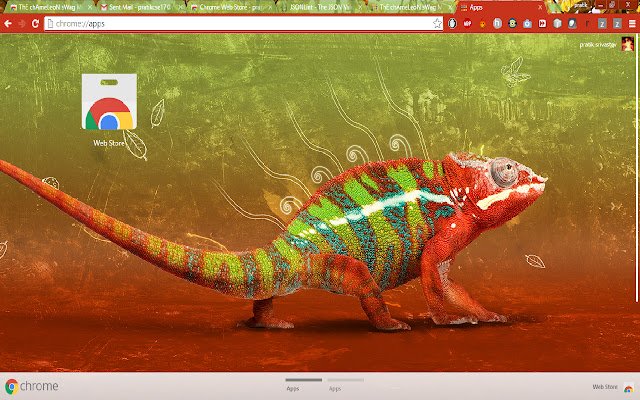 The chAmeLeoN swag Mix dal negozio web di Chrome da eseguire con OffiDocs Chromium online
