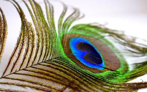 The feather  from Chrome web store to be run with OffiDocs Chromium online
