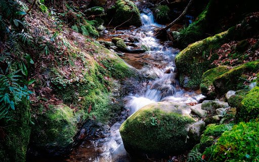 The Green Moss Stream  from Chrome web store to be run with OffiDocs Chromium online