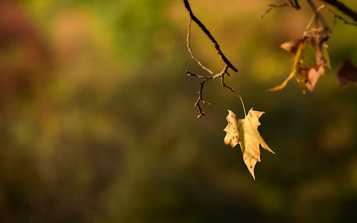 The Last Leaves  from Chrome web store to be run with OffiDocs Chromium online