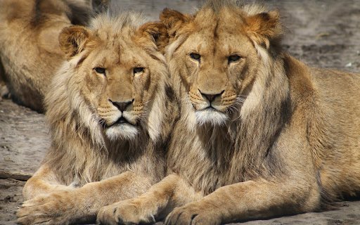 The lions  from Chrome web store to be run with OffiDocs Chromium online
