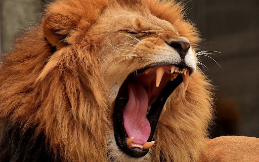 The lions fang  from Chrome web store to be run with OffiDocs Chromium online