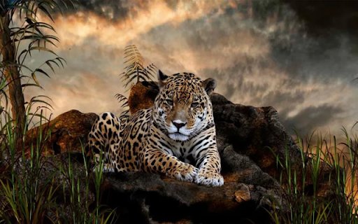 The Majestic Leopard: A Stealthy and Powerful Hunter from Chrome web store to be run with OffiDocs Chromium online The Majestic Leopard: A Stealthy and Powerful Hunter from Chrome web store to be run with OffiDocs Chromium online