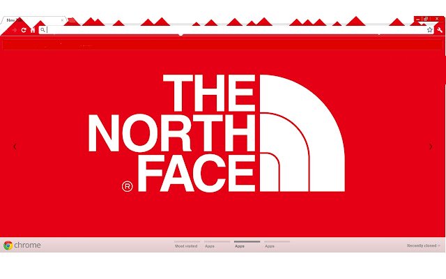 Chrome ウェブストアの The North Face が OffiDocs Chromium オンラインで実行される