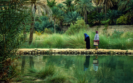 The old lady by the lake  from Chrome web store to be run with OffiDocs Chromium online