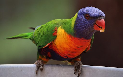 The parrot stands out  from Chrome web store to be run with OffiDocs Chromium online