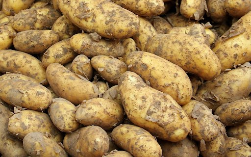 The potato crop was a success  from Chrome web store to be run with OffiDocs Chromium online