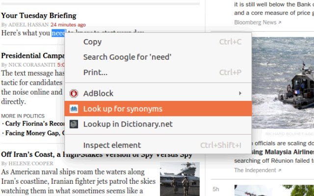 Thesaurus.net Extension  from Chrome web store to be run with OffiDocs Chromium online