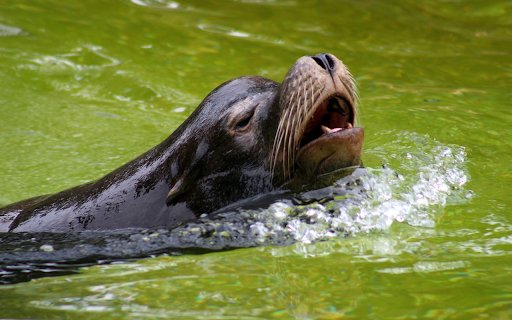 The seal  from Chrome web store to be run with OffiDocs Chromium online
