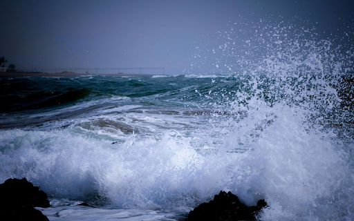 The sea surged to life  from Chrome web store to be run with OffiDocs Chromium online