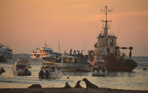 The ship comes ashore  from Chrome web store to be run with OffiDocs Chromium online