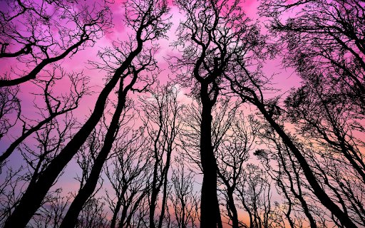 The sky turned pink  from Chrome web store to be run with OffiDocs Chromium online