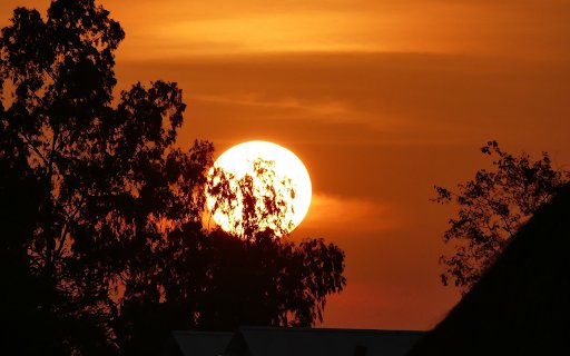 The sun behind the trees from Chrome web store to be run with OffiDocs Chromium online The sun behind the trees from Chrome web store to be run with OffiDocs Chromium online
