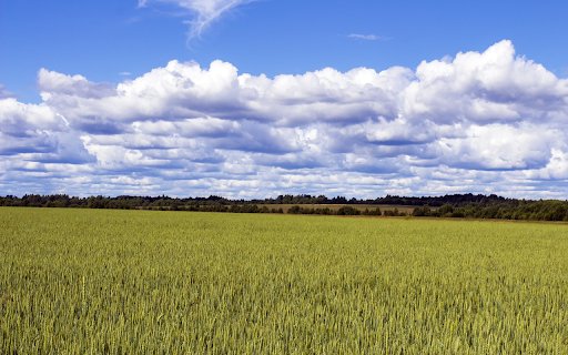 The vast fields have a good harvest from Chrome web store to be run with OffiDocs Chromium online The vast fields have a good harvest from Chrome web store to be run with OffiDocs Chromium online