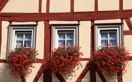 The windows are full of flowers  from Chrome web store to be run with OffiDocs Chromium online