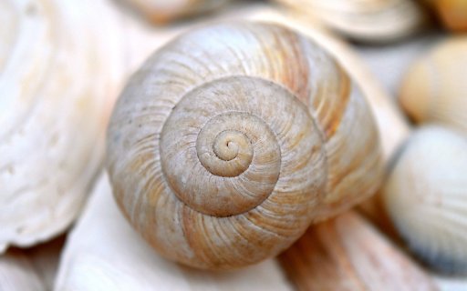 Thread screws  from Chrome web store to be run with OffiDocs Chromium online