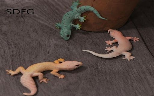 three geckos wallpaper  from Chrome web store to be run with OffiDocs Chromium online