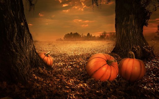 Three giant round pumpkins  from Chrome web store to be run with OffiDocs Chromium online