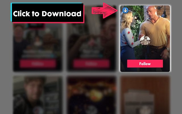 TikPak Downloader  from Chrome web store to be run with OffiDocs Chromium online