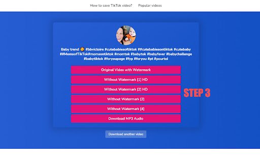 Tiktaklab TikTok Video Downloader  from Chrome web store to be run with OffiDocs Chromium online