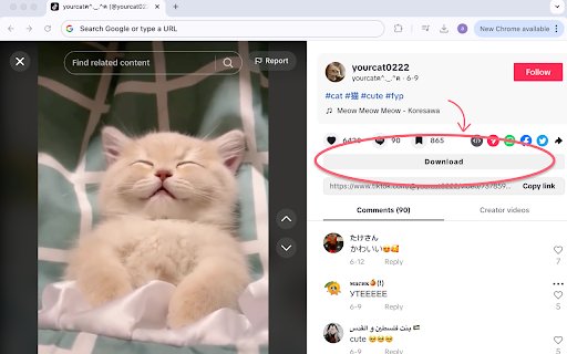 TikTok Downloader  from Chrome web store to be run with OffiDocs Chromium online