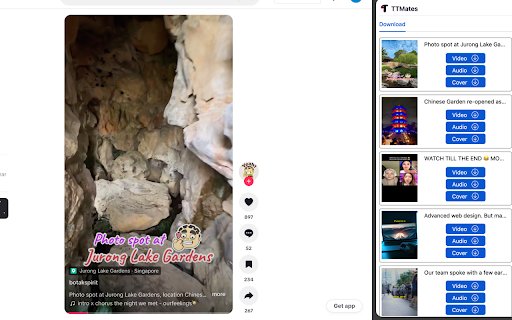 TikTok Download TTMates  from Chrome web store to be run with OffiDocs Chromium online