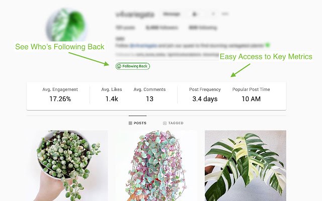 Tilly Instagram™ Stats Image Downloader dari toko web Chrome untuk dijalankan dengan OffiDocs Chromium online