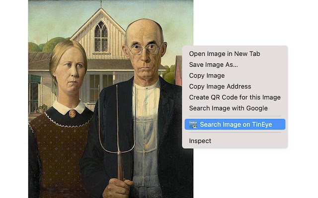 TinEye Reverse Image Search de Chrome web store se ejecutará con OffiDocs Chromium en línea
