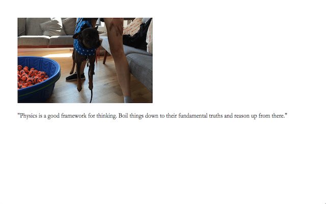 tiny hyena  from Chrome web store to be run with OffiDocs Chromium online