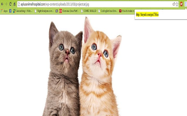 TinyURL Converter  from Chrome web store to be run with OffiDocs Chromium online