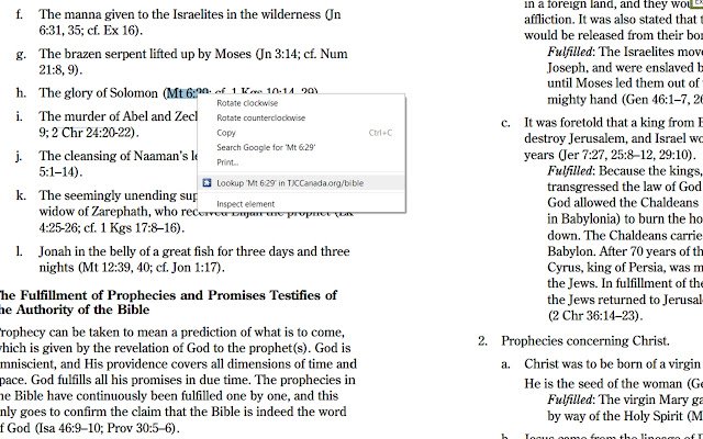 TJC Bible Lookup  from Chrome web store to be run with OffiDocs Chromium online