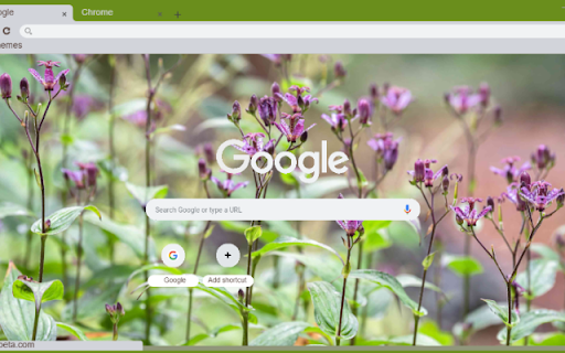 Toad Lily  from Chrome web store to be run with OffiDocs Chromium online