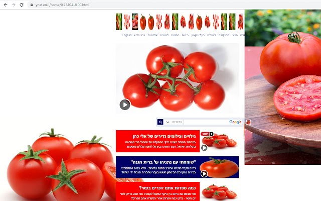 Tomatofy uit de Chrome-webwinkel wordt uitgevoerd met OffiDocs Chromium online