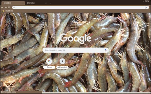 Tom dat  from Chrome web store to be run with OffiDocs Chromium online